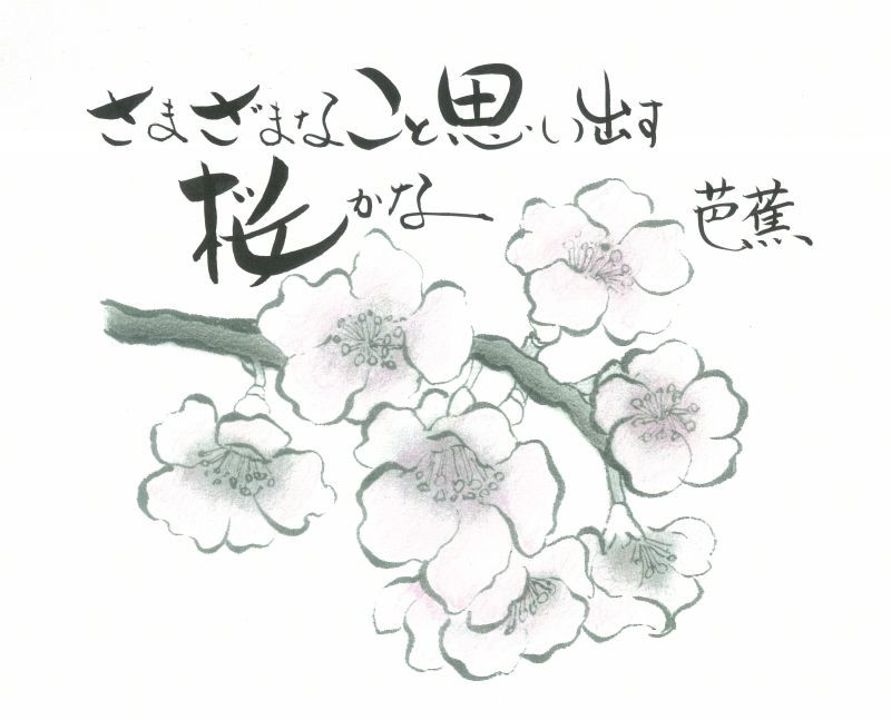 o0800064712905211031